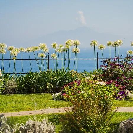 Marina - Preferred & Hotel Capri