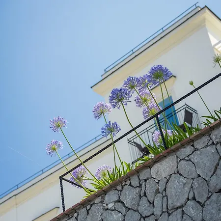 Marina - Preferred & 5* Capri