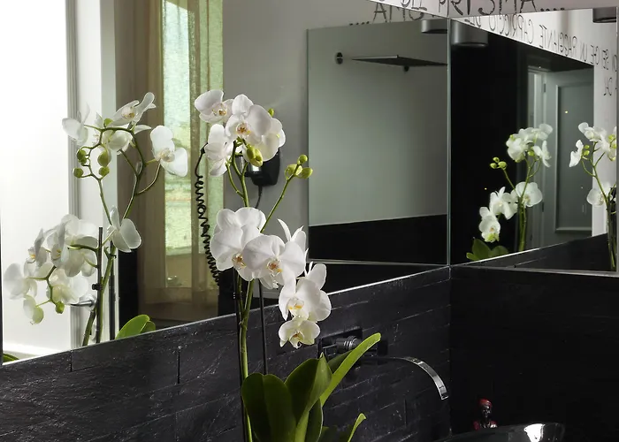 Marina - Preferred &